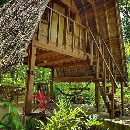 Lazy Lizard Hostel Siquijor Exterior photo