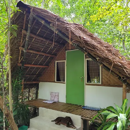 Lazy Lizard Hostel Siquijor Room photo