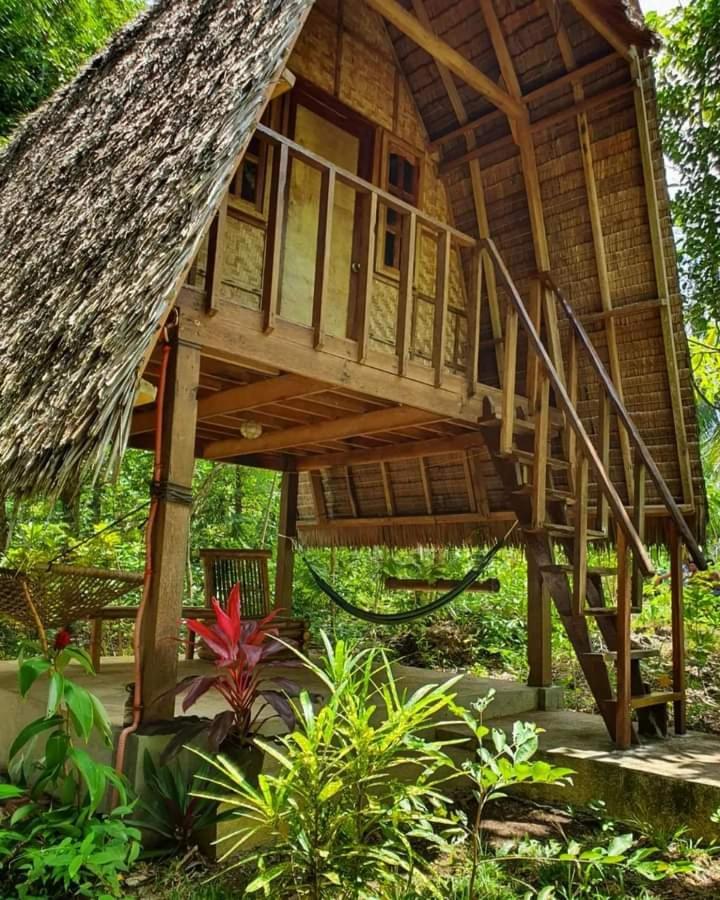 Lazy Lizard Hostel