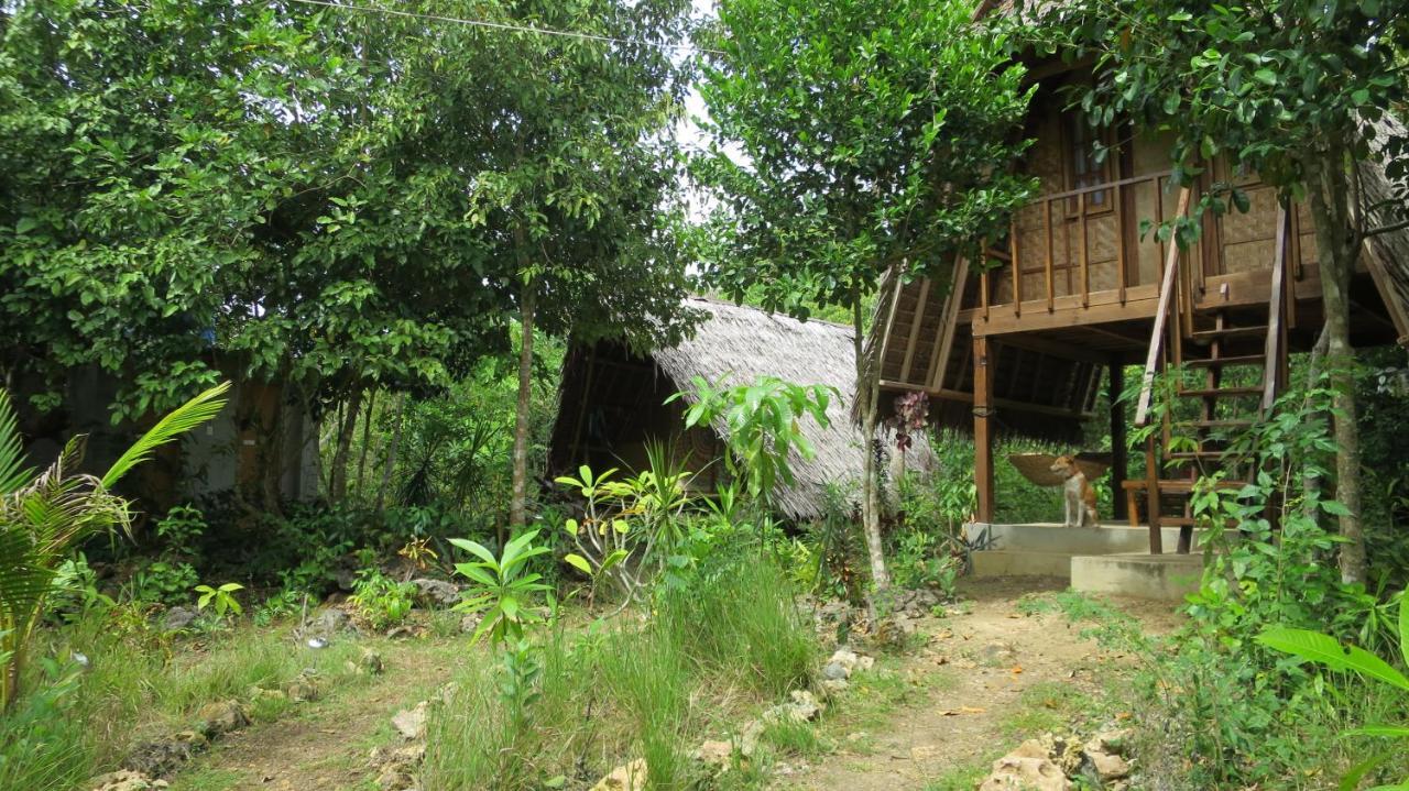 Hostel Lazy Lizard