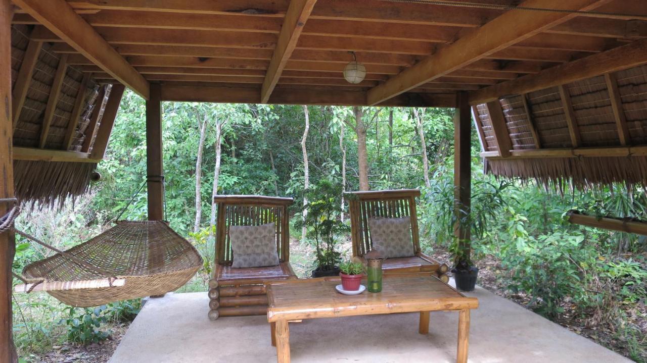 Lazy Lizard Hostel