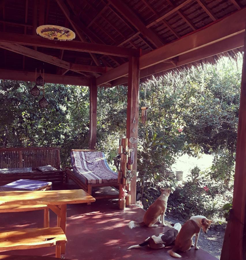 Hostel Lazy Lizard
