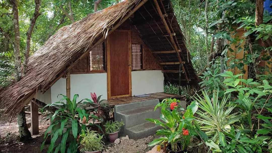Lazy Lizard Hostel *